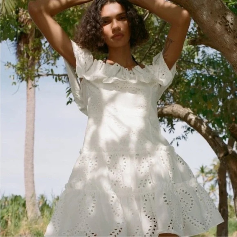 Zara Strapless Mini Dress Embroidered - Picture 3 of 7